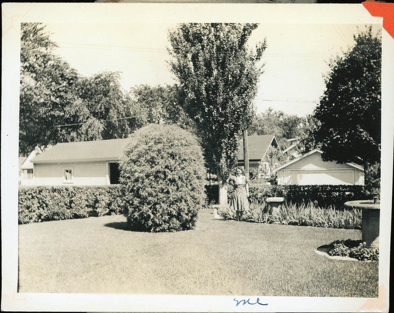 MHGS_Stewart_291.jpg