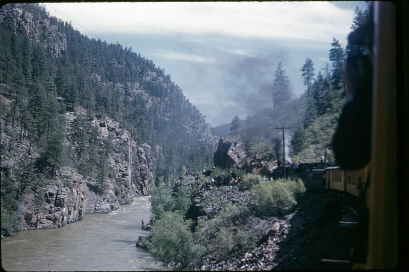 MHGS_Cotton_1195.jpg