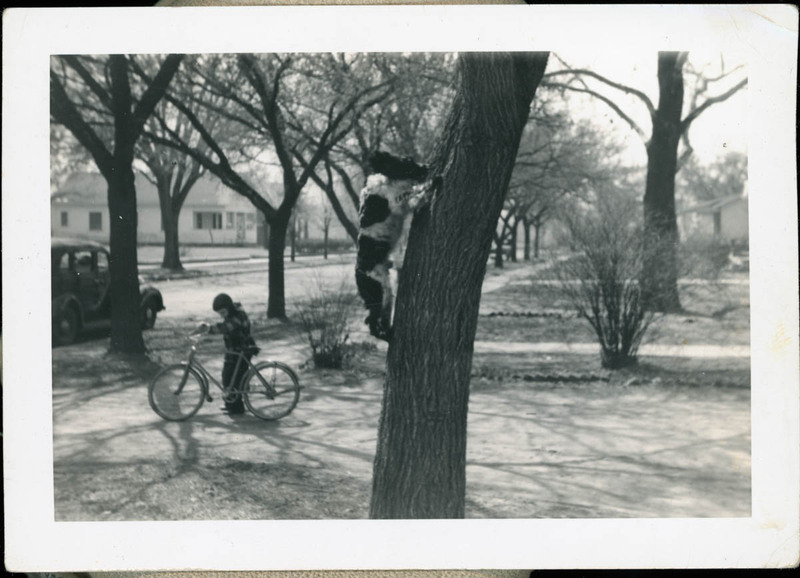 MHGS_Walton_SeydellCE_110.jpg