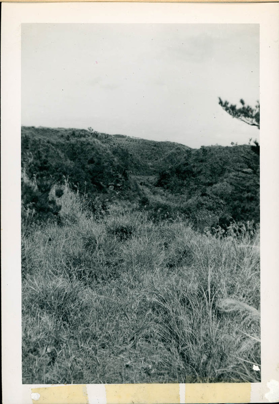 MHGS_Posey_025.jpg