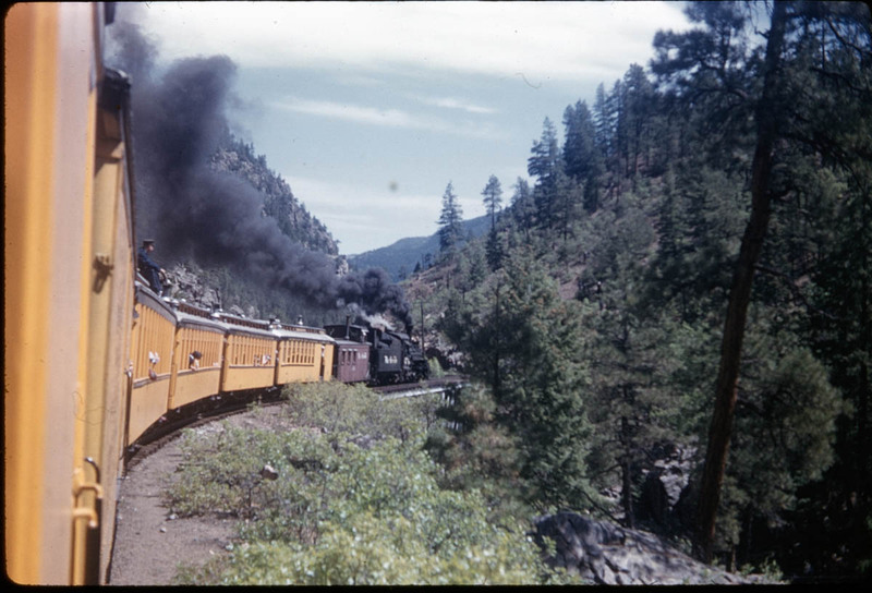 MHGS_Cotton_1196.jpg