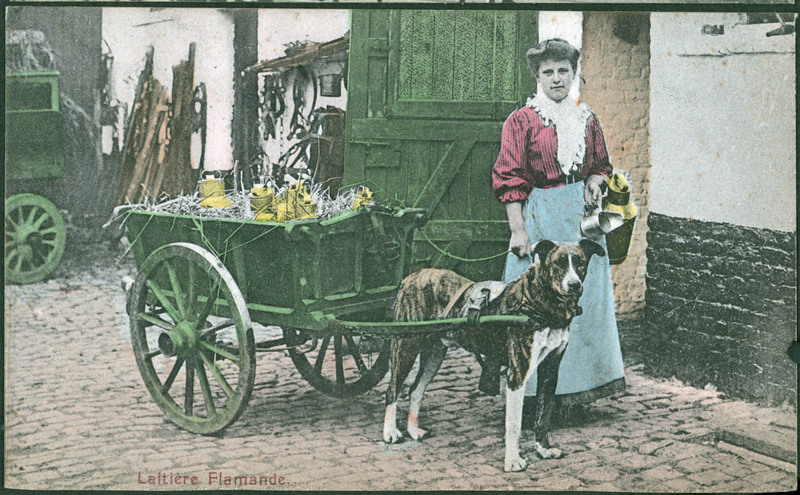 MHGS_Basore_Smith_AlbA_47f.jpg