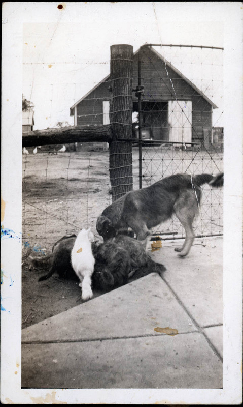 MHGS_Walton_Goldsmith_Al2_13a.jpg