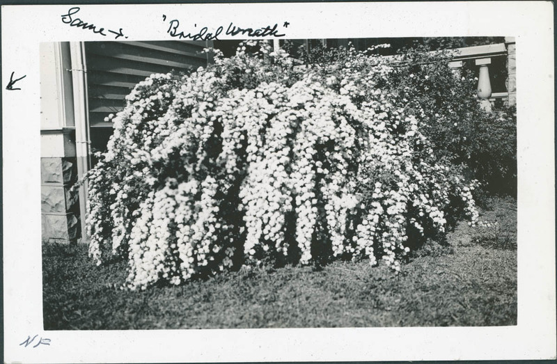 MHGS_Basore_Smith_AlbB_19a.jpg
