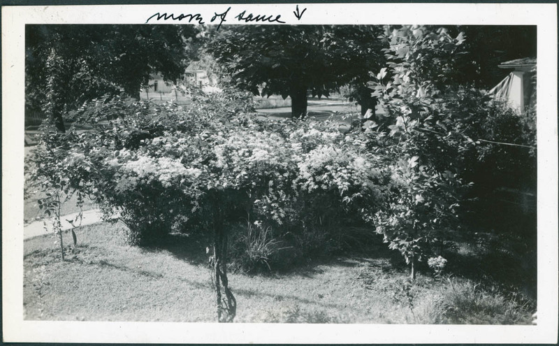 MHGS_Basore_Smith_AlbB_19d.jpg
