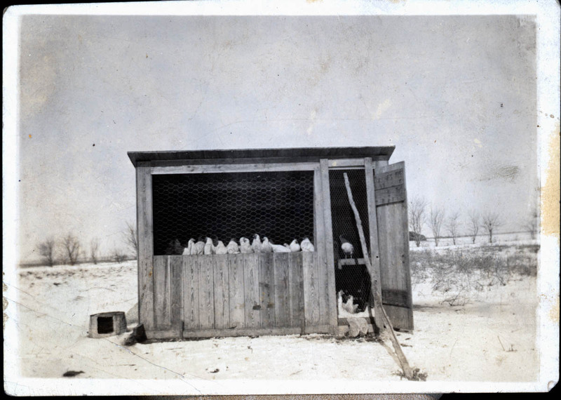 MHGS_Walton_Goldsmith_Al2_13c.jpg