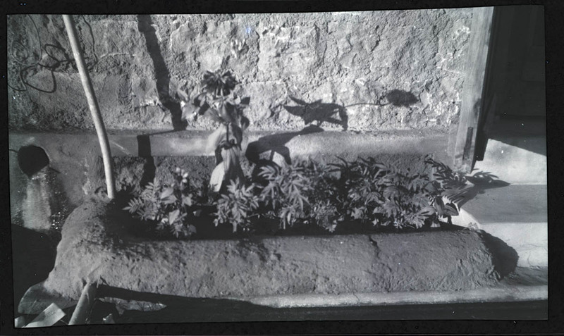 MHGS_Basore_Album_B_FP_18.jpg