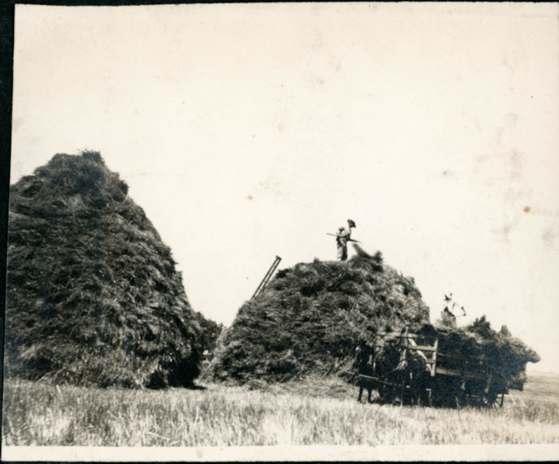 MHGS_Norman_A23b.jpg