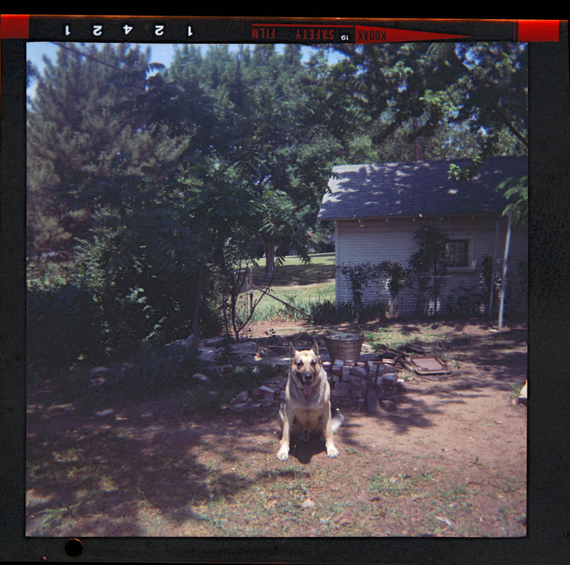 MHGS_Otto_0536.jpg