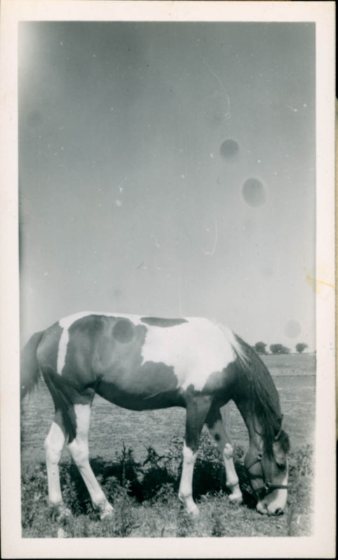 MHGS_Otto_0358.jpg