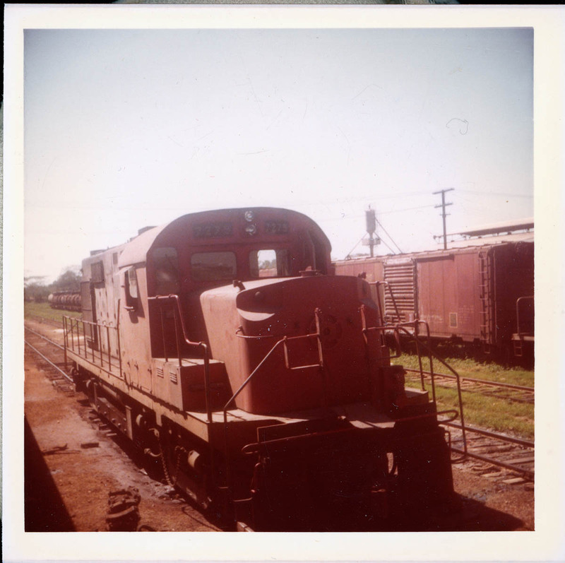 MHGS_Cotton_0280.jpg