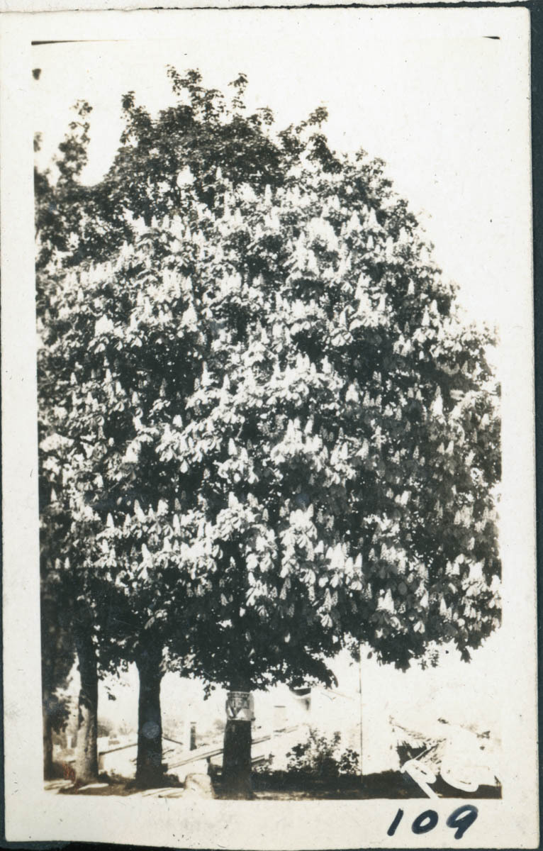 MHGS_Basore_Smith_Album1_09l.jpg