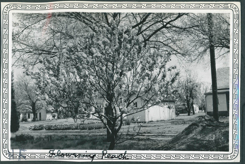 MHGS_Basore_Smith_AlbB_20b.jpg