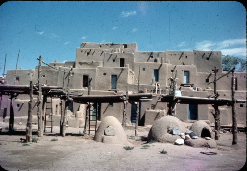 MHGS_Cotton_0864.jpg