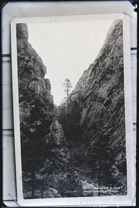 MHGS_Salmon_P11.jpg