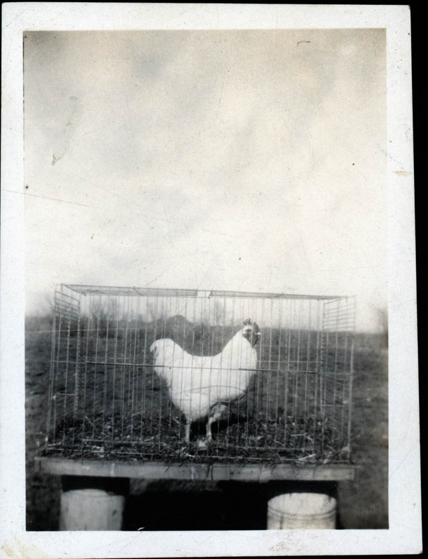 MHGS_Walton_Goldsmith_Al2_03b.jpg