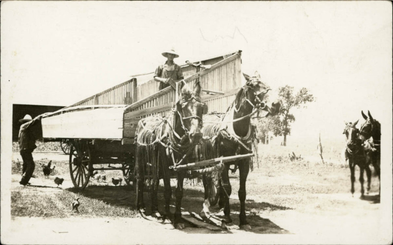 MHGS_Norman_055.jpg
