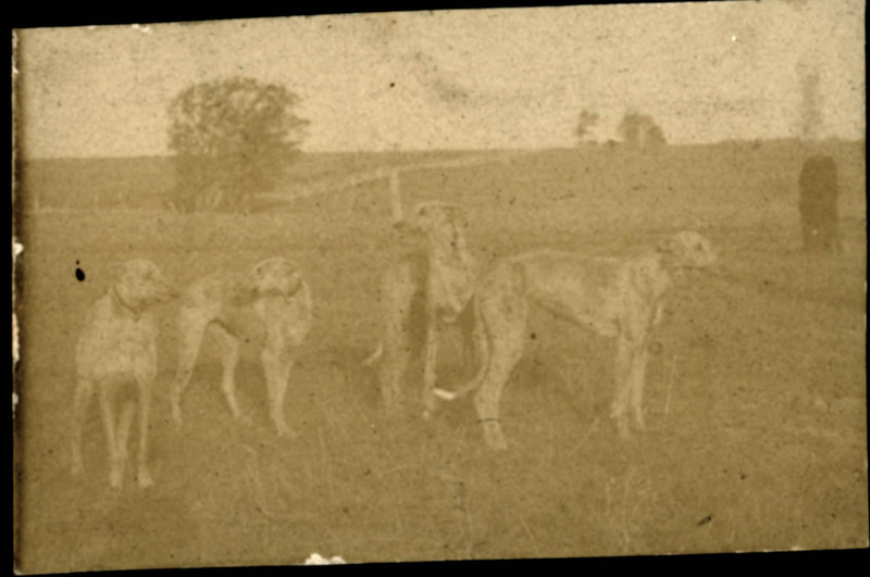 MHGS_Norman_A13e.jpg
