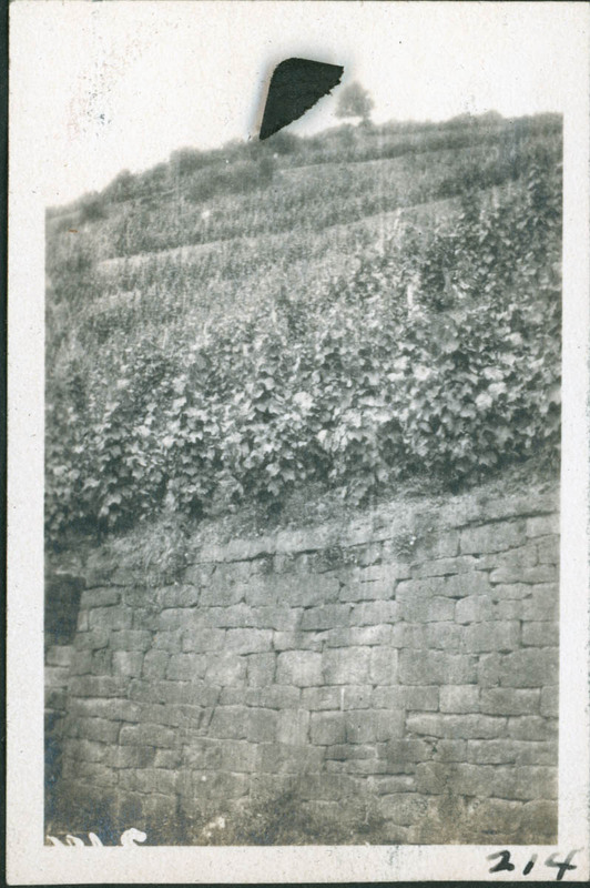 MHGS_Basore_Smith_AlbA_39g.jpg