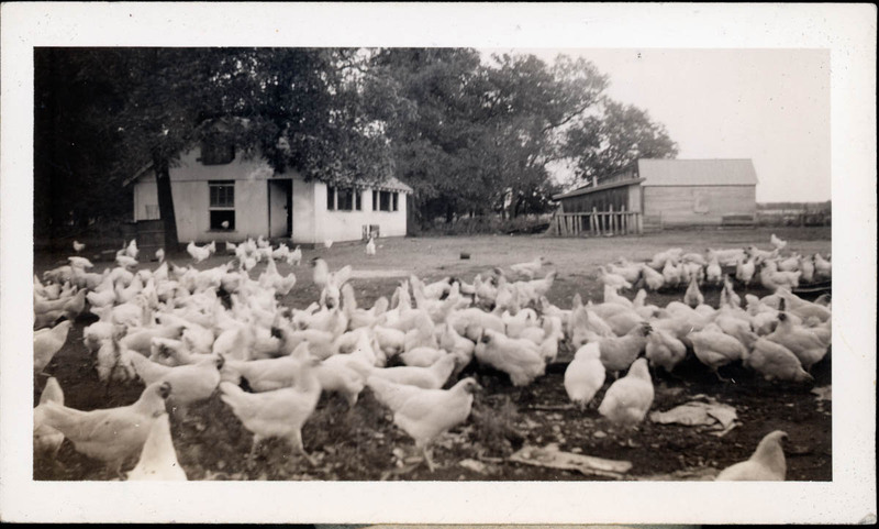 MHGS_Walton_Goldsmith_Al2_24c.jpg