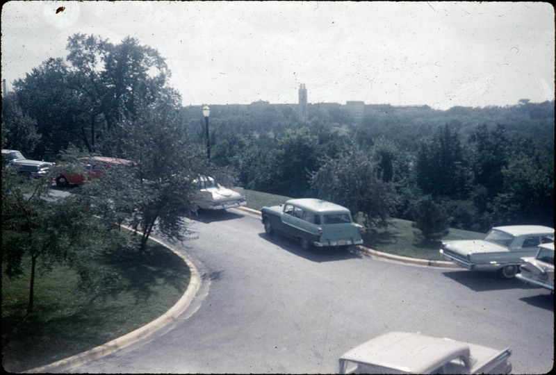 MHGS_Cotton_1057.jpg