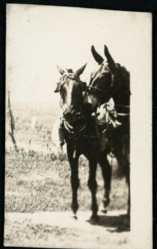 MHGS_Norman_A38c.jpg