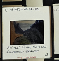 MHGS_Cotton_1196_slide.jpg