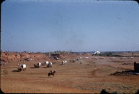 MHGS_Cotton_0605.jpg