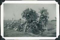 MHGS_Stewart_129.jpg