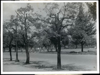 MHGS_Walton_SeydellCW_Album01_3i.jpg