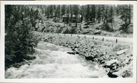 MHGS_Cotton_0112.jpg