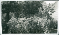 MHGS_Basore_Smith_AlbB_18b.jpg