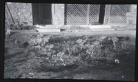 MHGS_Basore_Album_B_FP_16.jpg