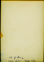 MHGS_Warner_0373_back.jpg