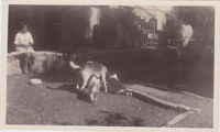 Breaden_Evelyn_and_Dogs_01.jpg