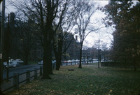 MHGS_Cotton_1041.jpg