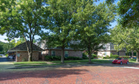 MHGS_Snapshot_001972.jpg