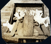MHGS_Walton_Goldsmith_Al2_33c.jpg