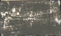 MHGS_Warner_0248_back.jpg