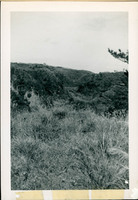 MHGS_Posey_025.jpg