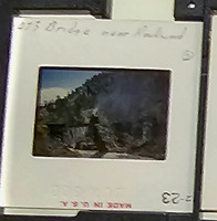 MHGS_Cotton_1163_slide.jpg