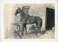 MHGS_Basore_Album_A_FP_41.jpg