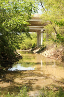 MHGS_Snapshot_000538.jpg