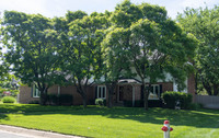 MHGS_Snapshot_001178.jpg