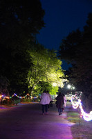 MHGS_Snapshot_002339.jpg