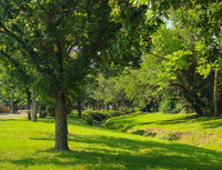 MHGS_Snapshot_004056.jpg