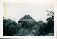 MHGS_Posey_024.jpg