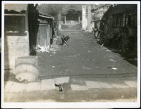 MHGS_Walton_SeydellCW_Album01_15g.jpg