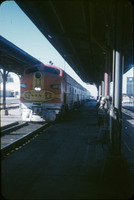 MHGS_Cotton_1137.jpg