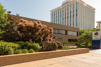 MHGS_Snapshot_001329.jpg